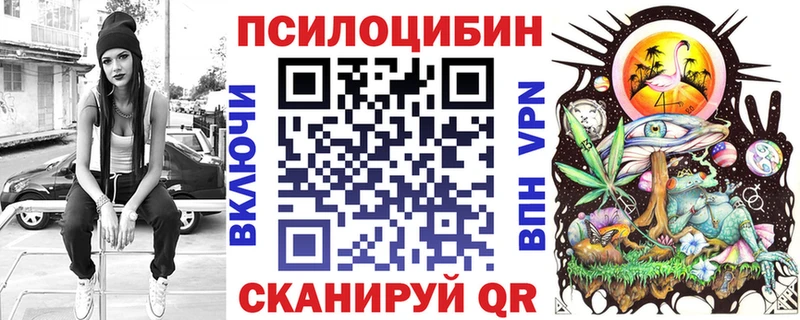 Купить где  Пучеж  Псилоцибиновые грибы Psilocybe 