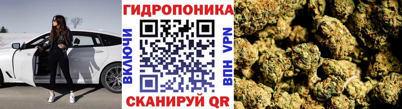 Купить закладки  Пучеж  Шишки марихуана гибрид 
